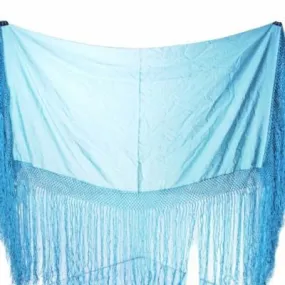 Antique Pale Aqua Silk Shawl Fringe 1920S