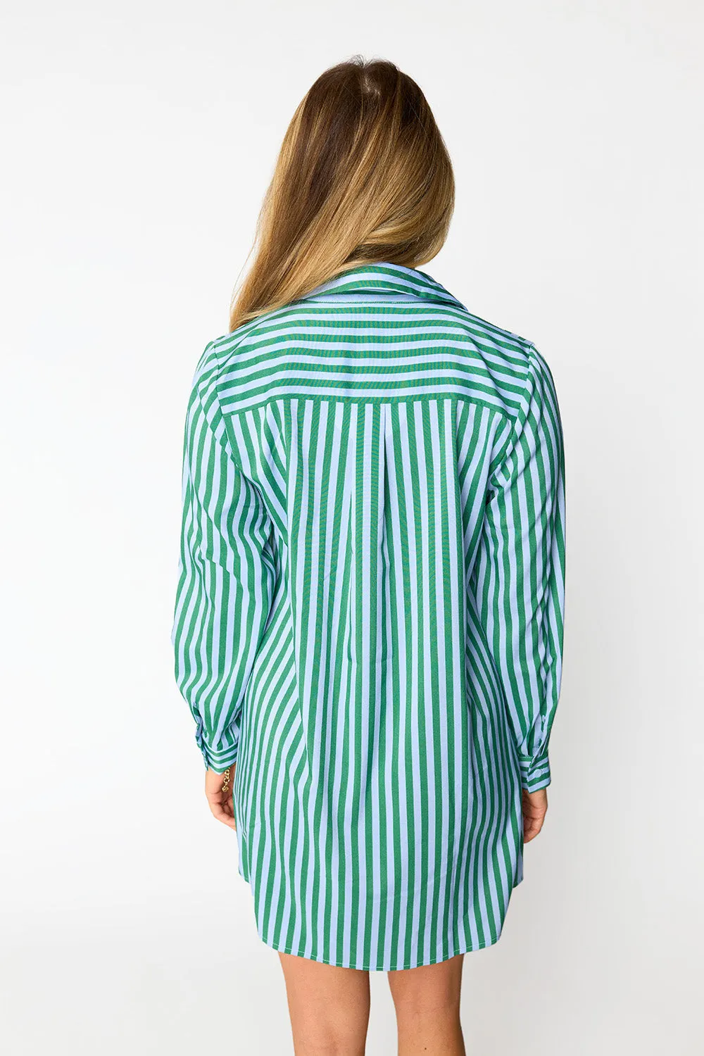 Beau Mini Shirt Dress - Cucumber Water