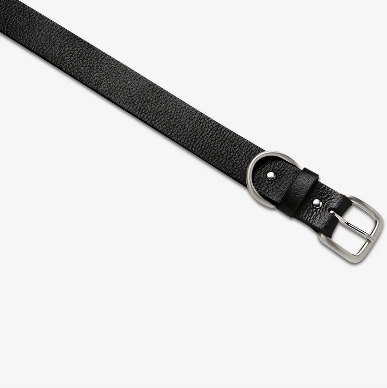 Status Anxiety - Disarm Belt, Black/ Silver